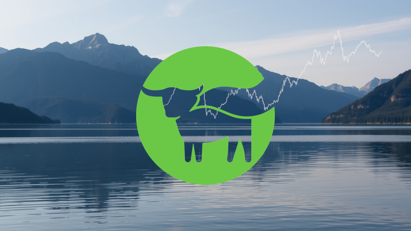 Beitragsbild zu Beyond Meat Aktie: Vanguard steigt ein