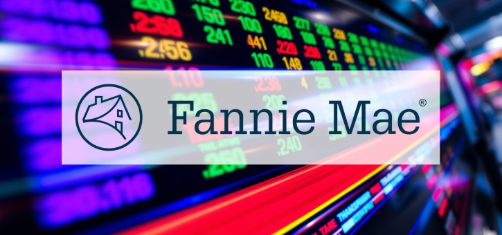 Beitragsbild zu Fannie Mae: Absturz mit Ansage?