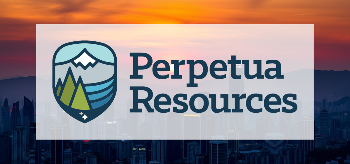 Beitragsbild zu Perpetua Resources Aktie: Bären übernehmen das Kommando