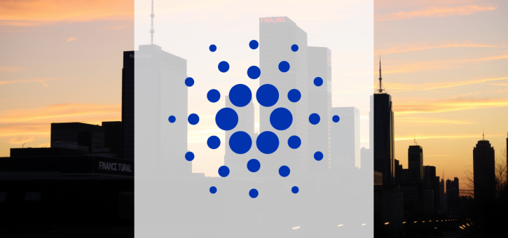 Beitragsbild zu Cardano: Absturz oder geheime Akkumulation?