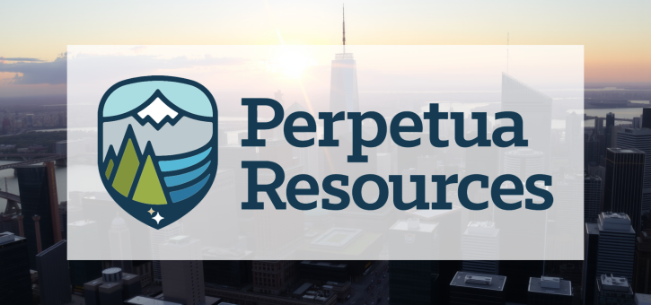 Beitragsbild zu Perpetua Resources Aktie: Tagesaktuelle Perspektive