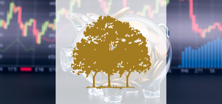 Beitragsbild zu Canopy Growth Aktie: Abwärtsspirale nimmt Fahrt auf