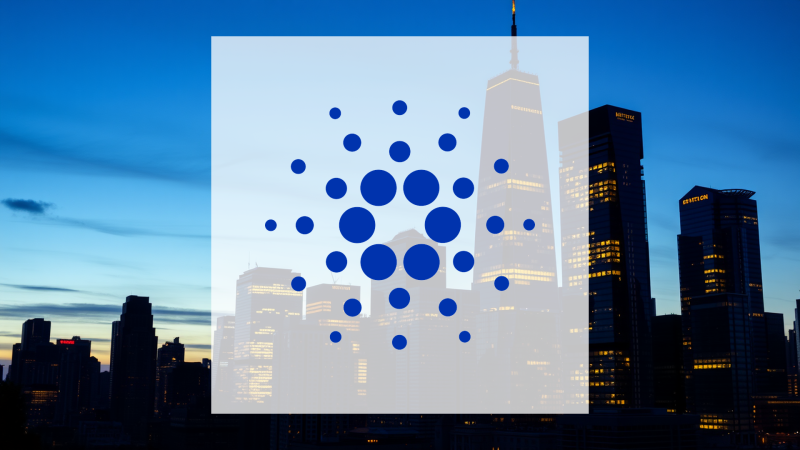 Beitragsbild zu Cardano: Krypto-Crash trifft Überraschungs-Gewinner