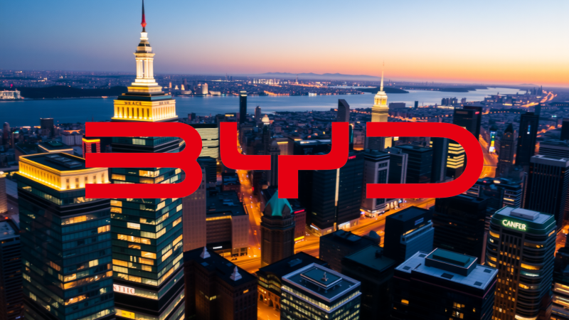 Beitragsbild zu BYD Aktie: Subventionen bremsen