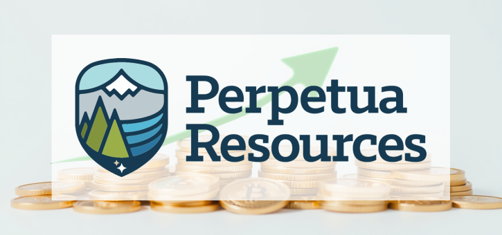 Beitragsbild zu Perpetua Resources Aktie: Drohende Sackgasse?