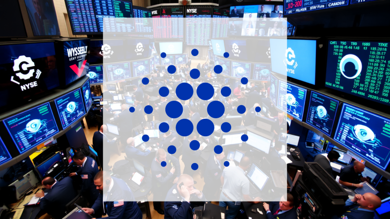 Beitragsbild zu Cardano: Totalabsturz nach Netzwerk-Schock!