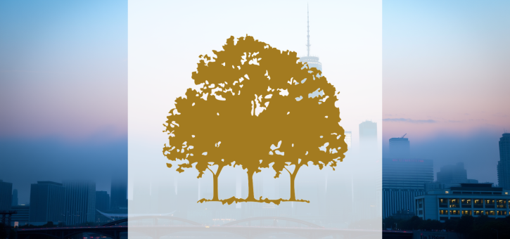 Beitragsbild zu Canopy Growth Aktie: Sieben Tage Talfahrt