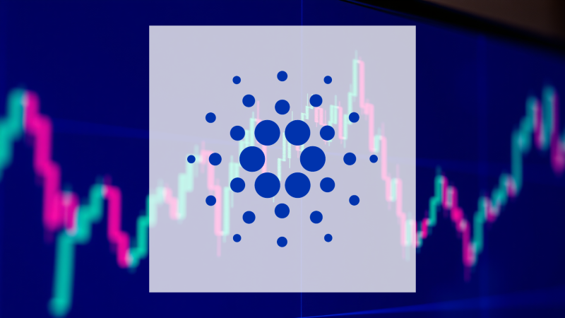 Beitragsbild zu Cardano: Faktenlage erörtert