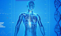 Beitragsbild zu Uniqa - Mavie Work akquiriert Wellbeing Polska und stärkt ganzheitliches Gesundheitsangebot in Polen