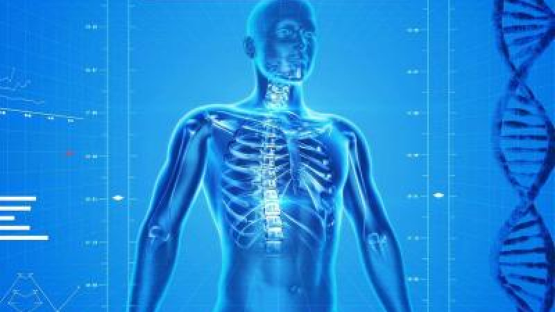 Beitragsbild zu Uniqa - Mavie Work akquiriert Wellbeing Polska und stärkt ganzheitliches Gesundheitsangebot in Polen