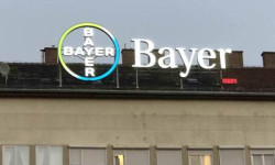 Beitragsbild zu Bayer-Aktie: Ein Kracher!