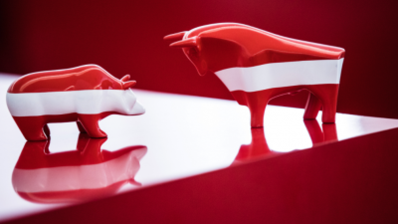 Beitragsbild zu Palfinger pickt, Wissen sticht