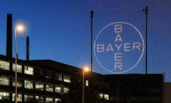 Beitragsbild zu Bayer-Aktie: Was für eine Meldung!